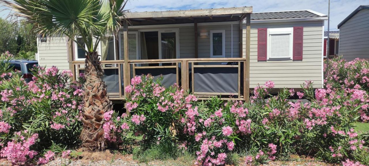 Mobil Home Palmiers 1 Valras-Plage Εξωτερικό φωτογραφία